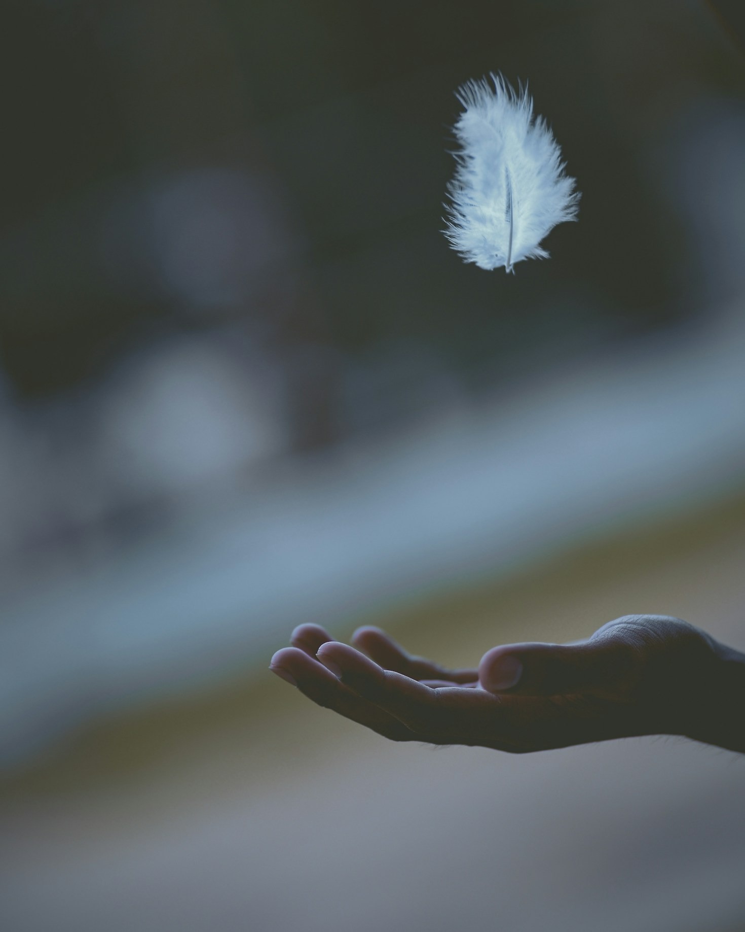 Poetry as a Path to Transformation