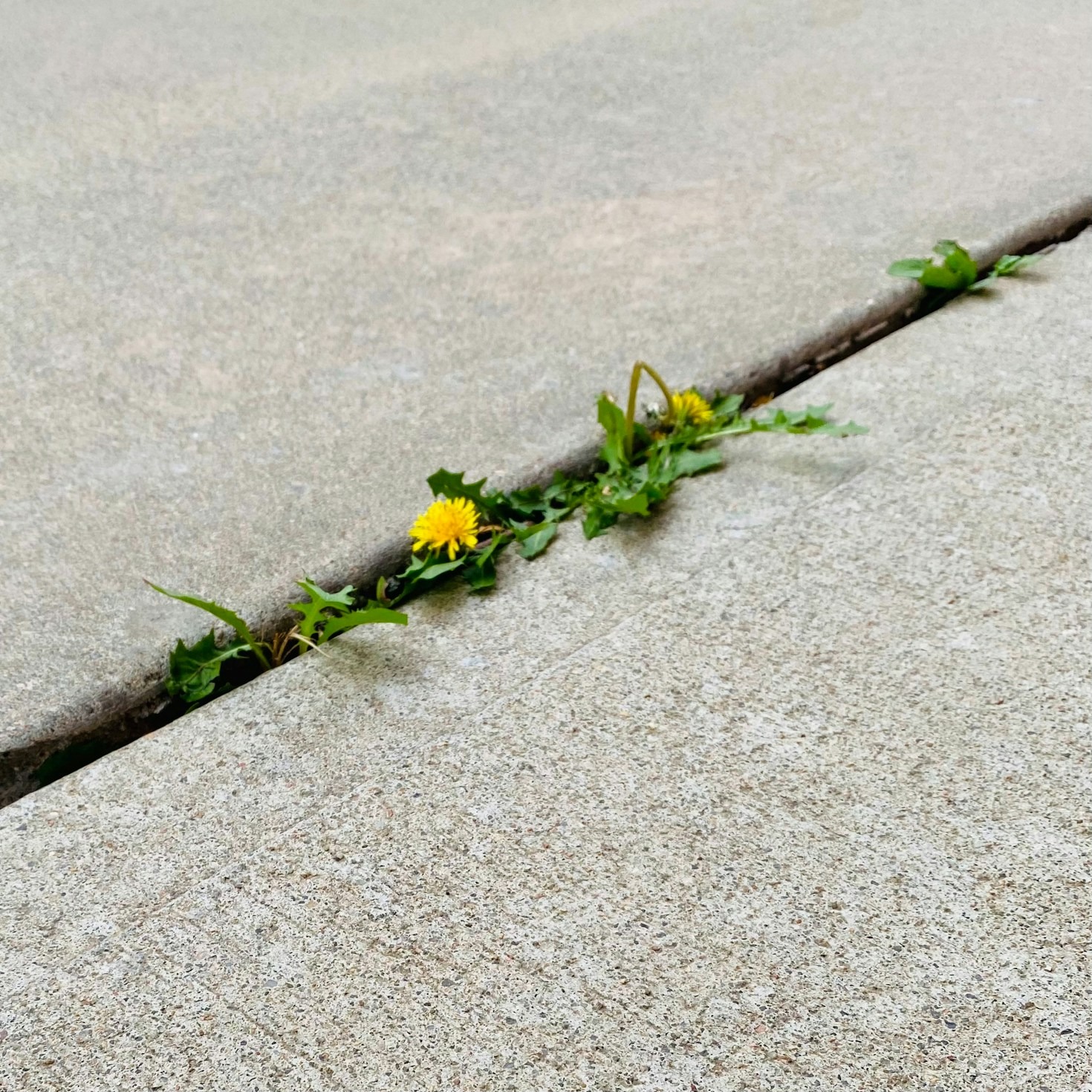 Building Strength Through Vulnerability